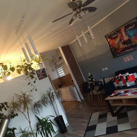 Apartament Przy Bialym Koniu コシャリン エクステリア 写真